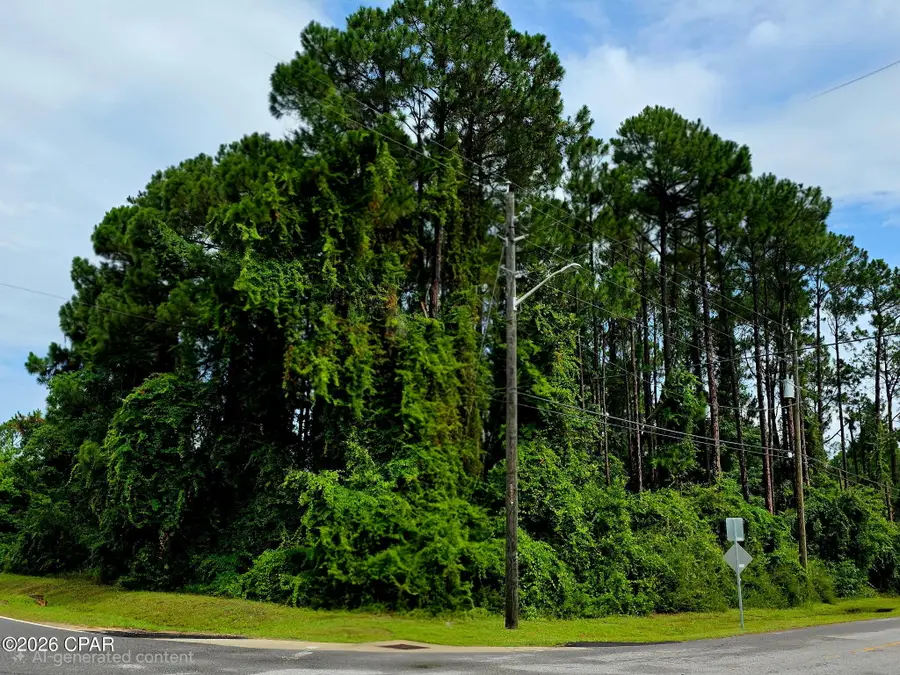 233 Fairway Boulevard, Panama City Beach, FL 32407 - #3
