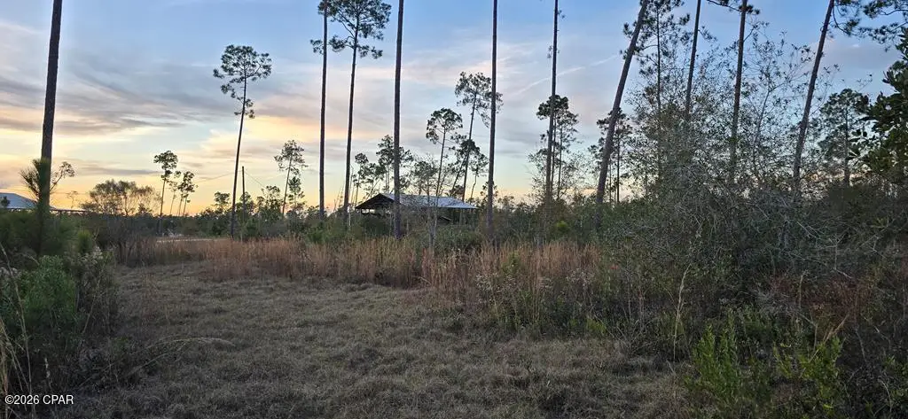 9641 Cr 386, Wewahitchka, FL 32465 - #1
