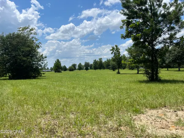 00 Gotcha Road, Marianna, FL 32448