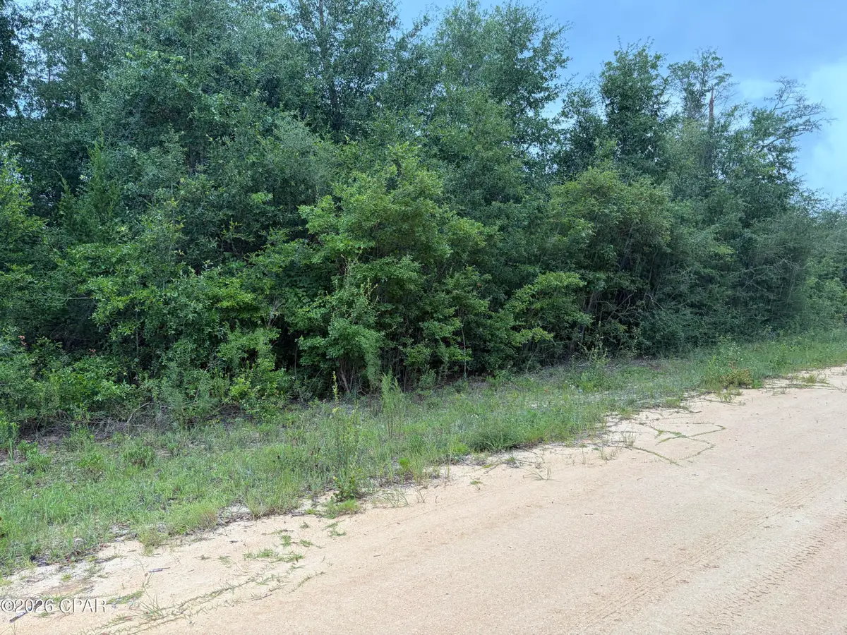 0 Kokomo Avenue, Alford, FL 32420 - #1