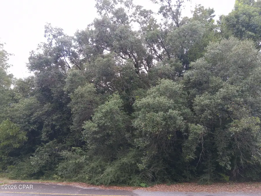 Lot 11 Eastbrook Drive #2, Chipley, FL 32428 - #2
