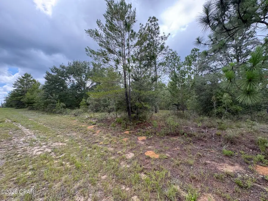 LOT 12 Yorkshire Drive, Chipley, FL 32428 - #3