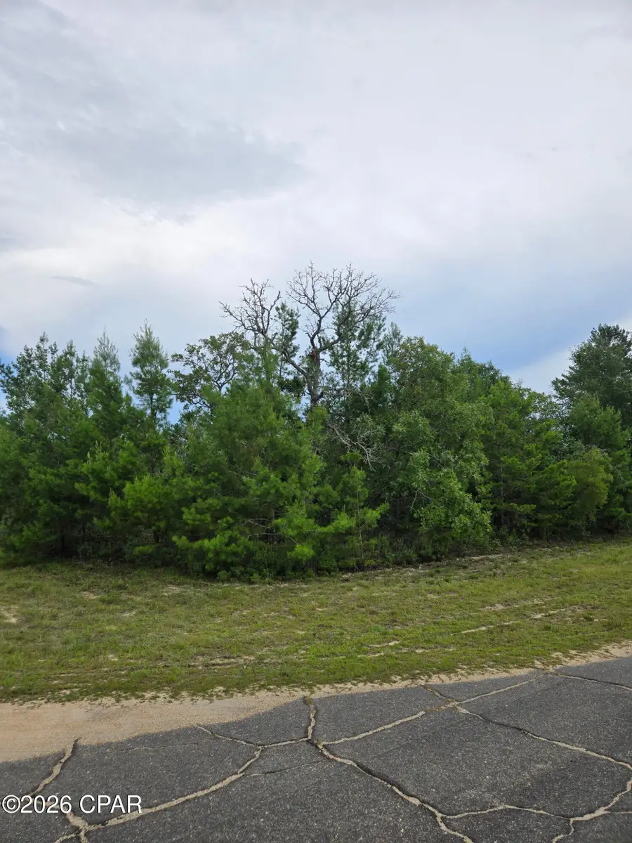 TBD Banner Lane, Chipley, FL 32428 - #2
