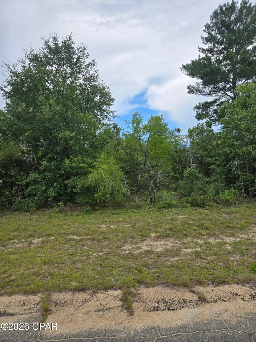 TBD Banner Lane, Chipley, FL 32428 - #3