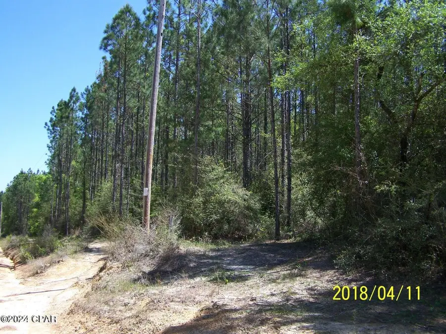 00 Noland Pond Road, Alford, FL 32420 - #3