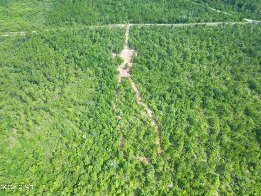 0013 Douglas Ferry Road, Bonifay, FL 32425 - #2