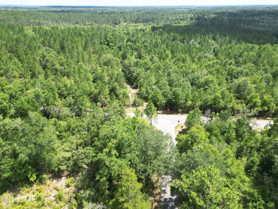 0009 Bess Nook Road, Bonifay, FL 32425 - #2