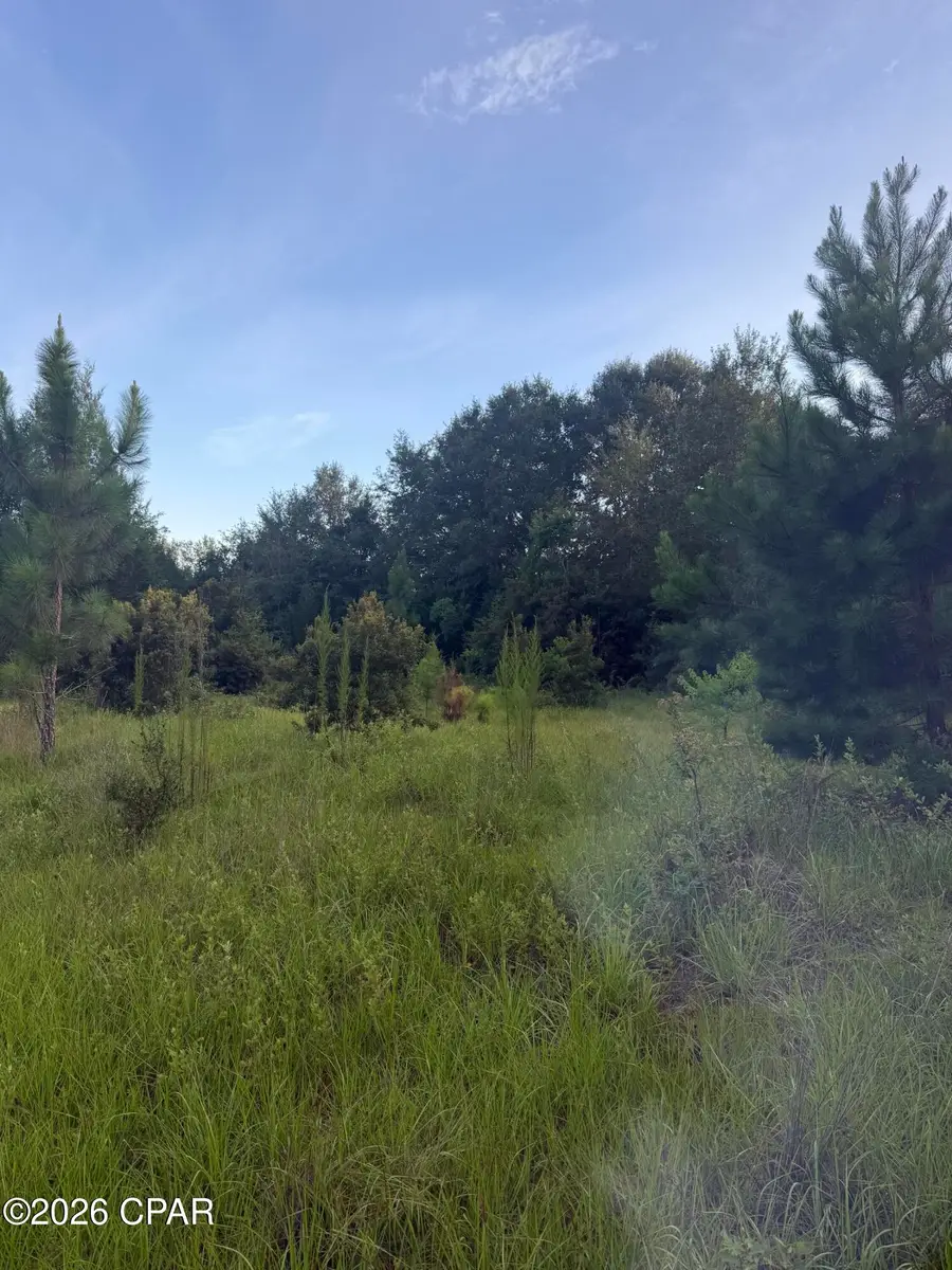 00 S Chance Road, Bonifay, FL 32425 - #3