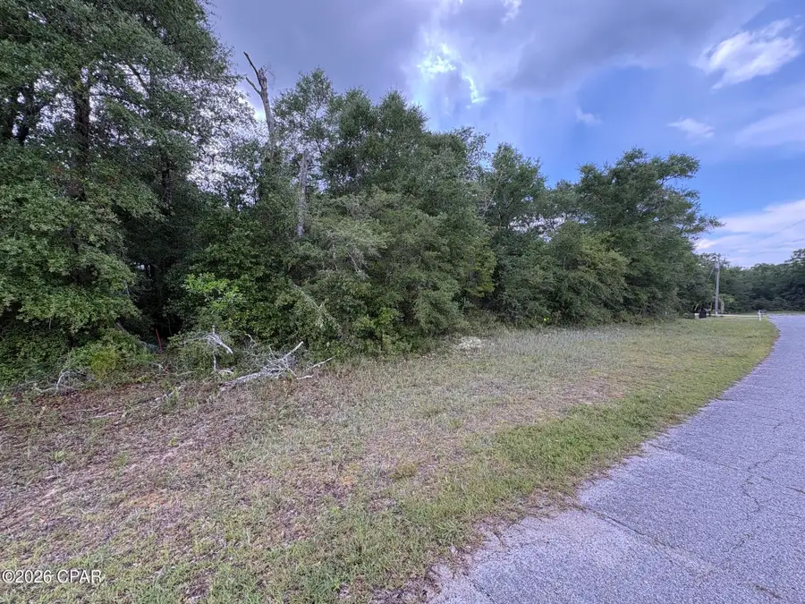 LOT 5 Malone Place, Chipley, FL 32428 - #3