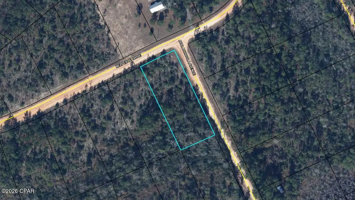 0 Nezperce Drive, Alford, FL 32420 - #1