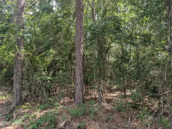 TBD Marian Drive, Bonifay, FL 32425