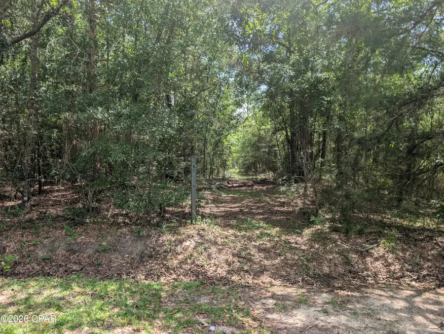 TBD Marian Drive, Bonifay, FL 32425 - #2