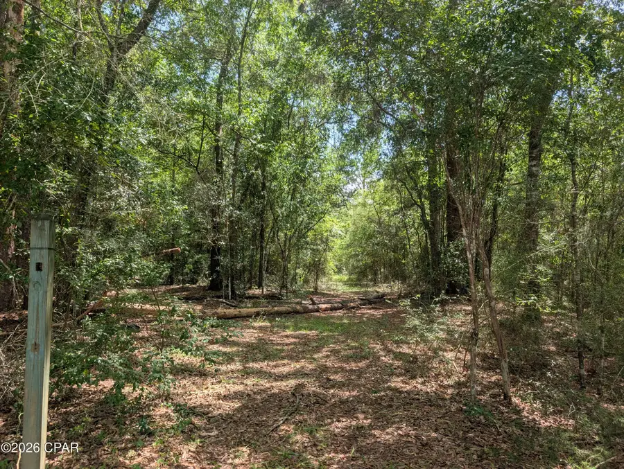 TBD Marian Drive, Bonifay, FL 32425 - #3