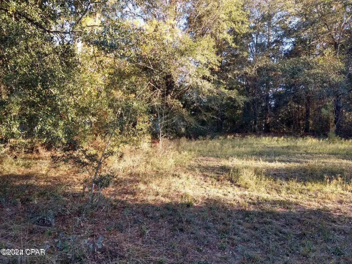 0 Marian Drive, Bonifay, FL 32425 - #1