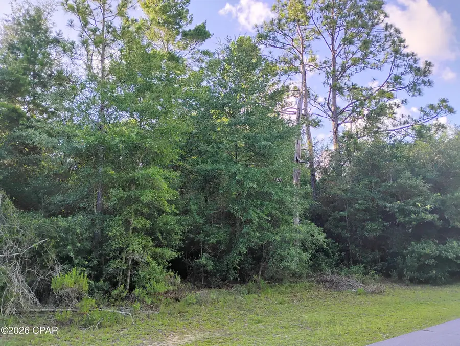 Lot 22 Linwood Drive, Chipley, FL 32428 - #2