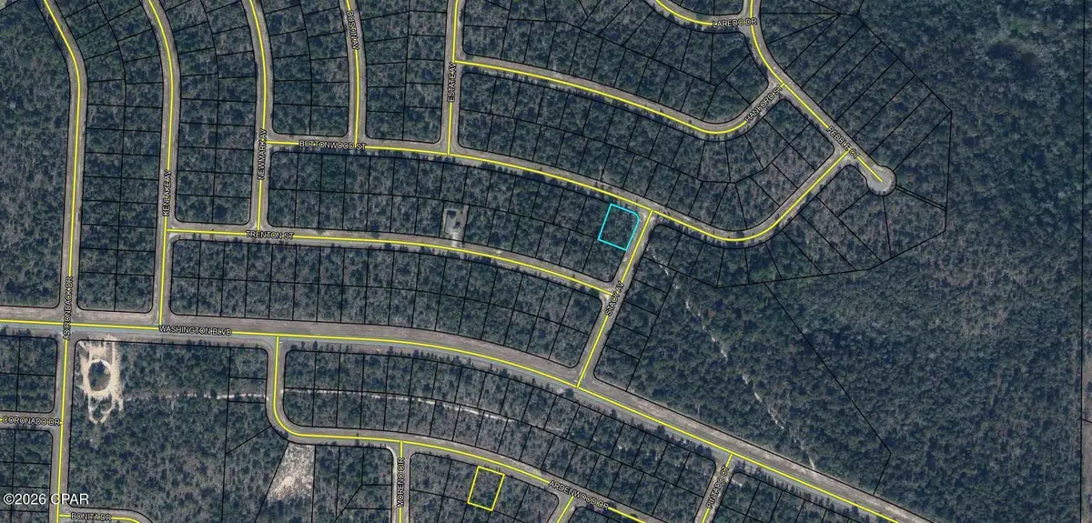 LOT 15 Blk 0464 Buttonwood Street, Chipley, FL 32428 - #1