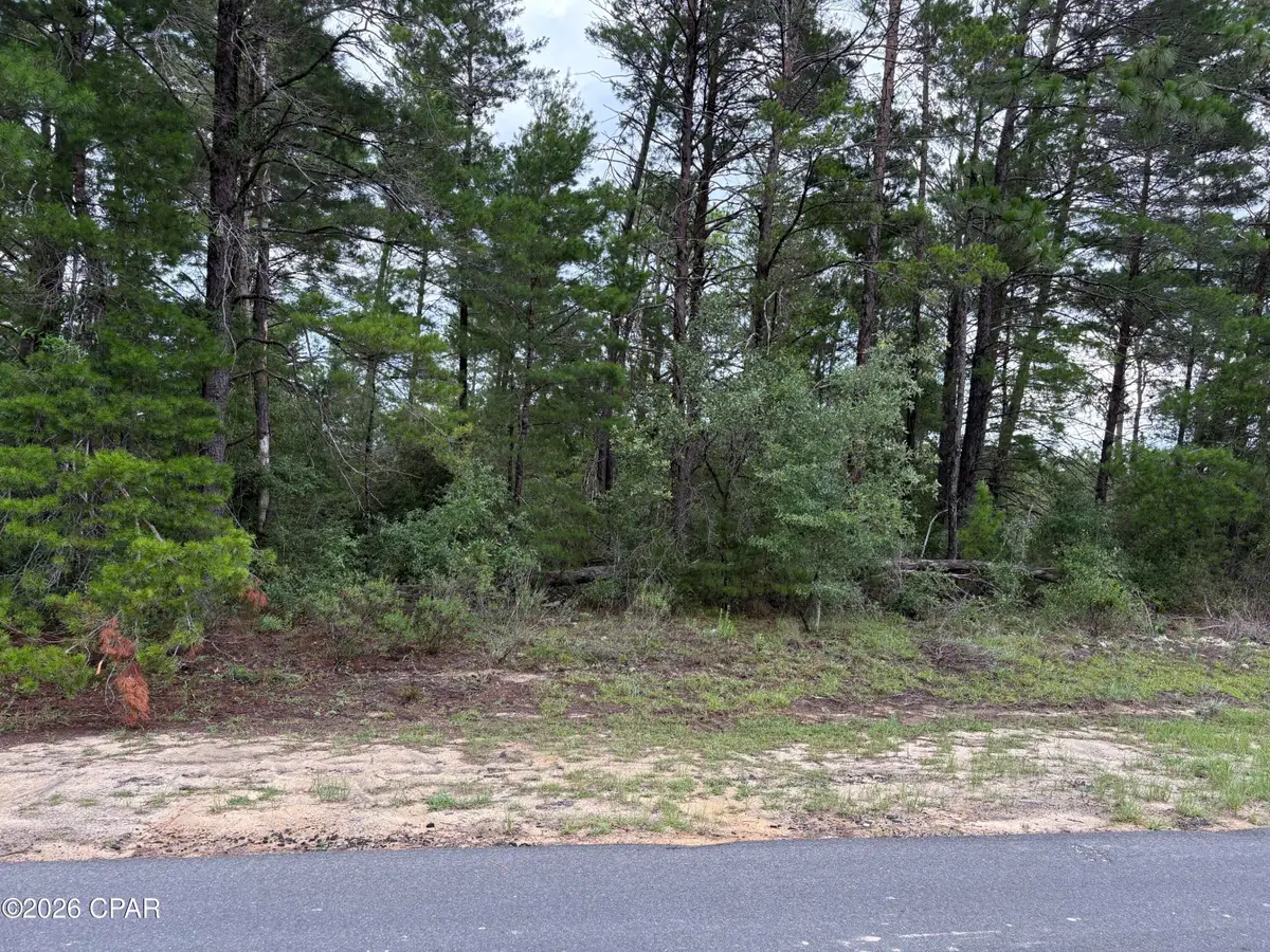 LOT 22 Pinehurst Avenue, Chipley, FL 32428 - #1