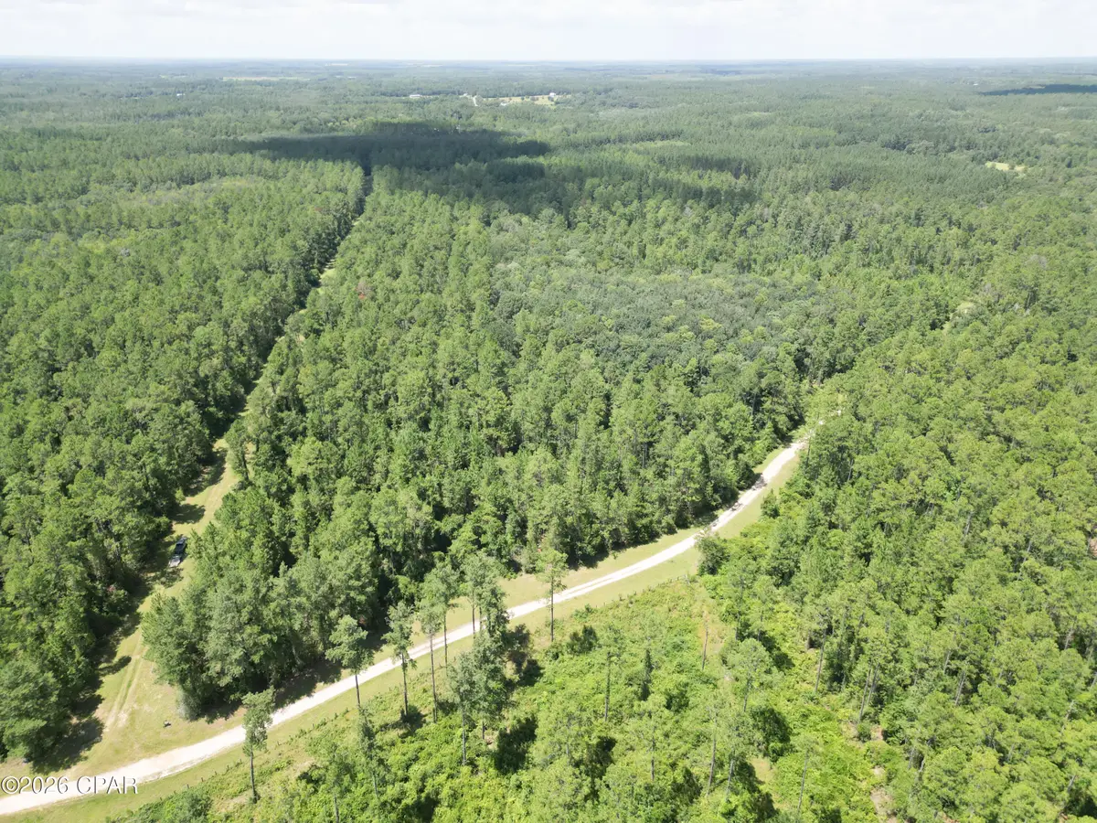 0013 Hawthorne Trl Canopy Oaks Trail, Bonifay, FL 32425 - #1