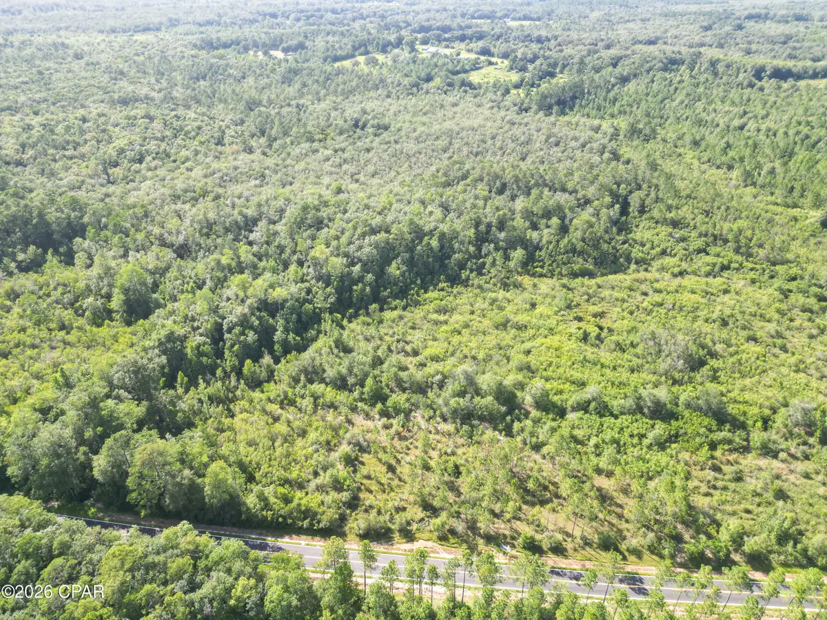 0007 Douglas Ferry Road, Bonifay, FL 32425 - #1