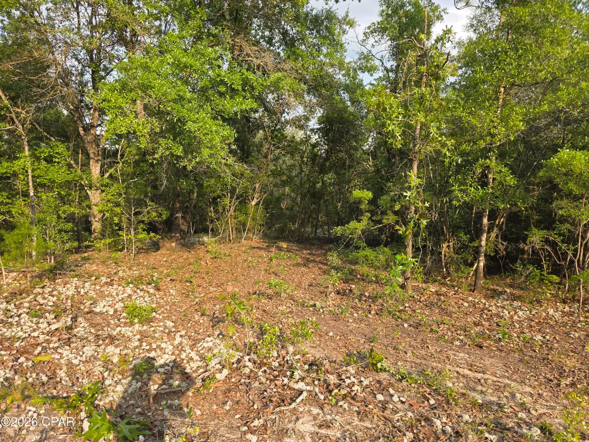 Lot 7 Pine Log Road, Chipley, FL 32428 - #1