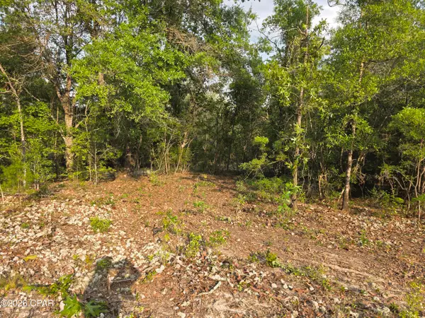 Lot 7 Pine Log Road, Chipley, FL 32428