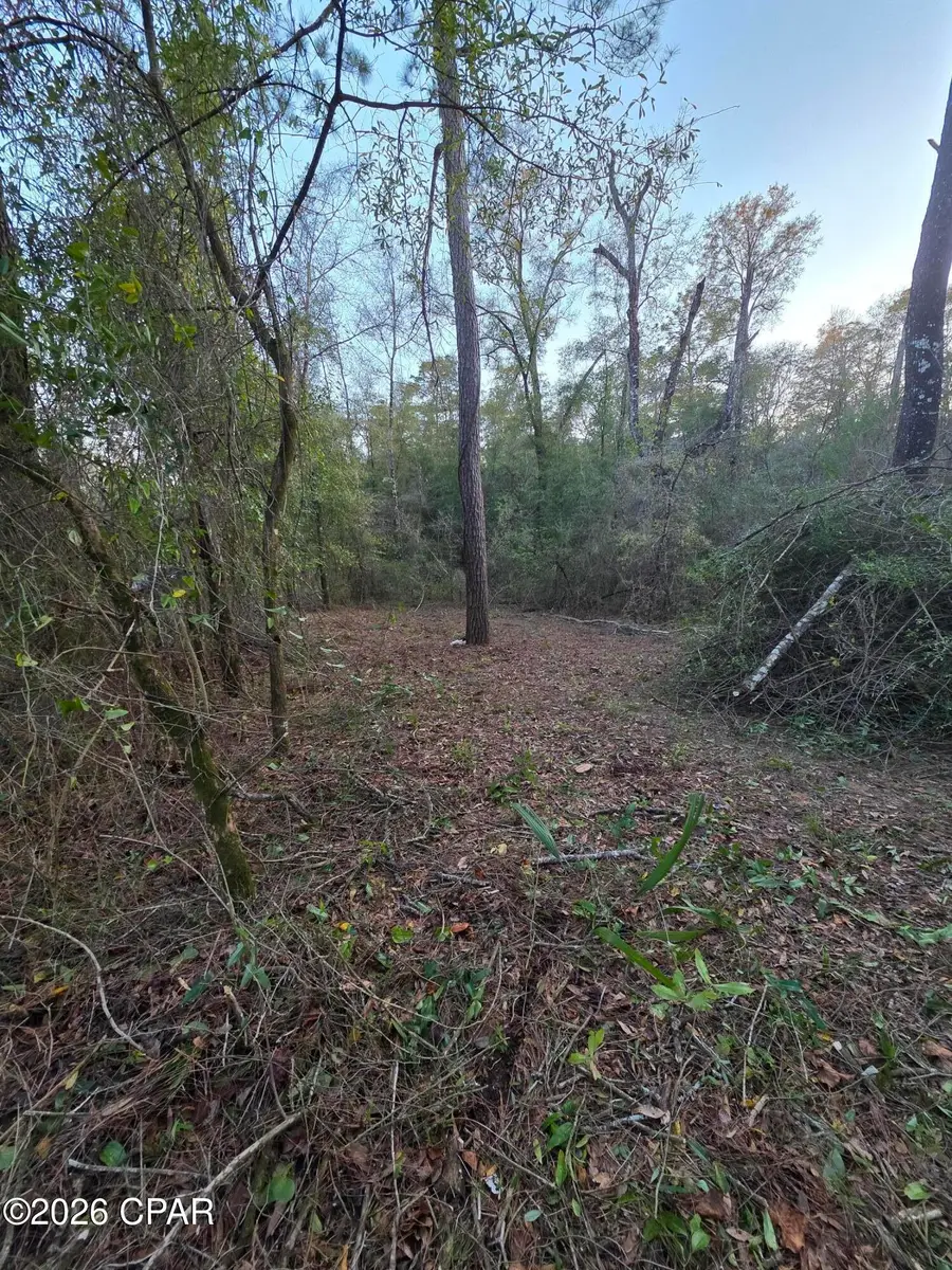 Lot 7 Pine Log Road, Chipley, FL 32428 - #2