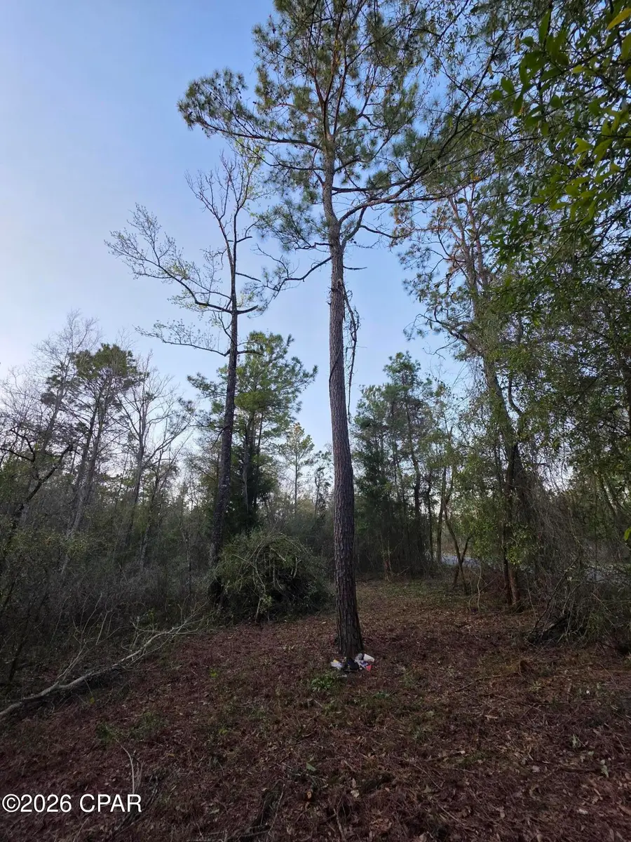 Lot 7 Pine Log Road, Chipley, FL 32428 - #3