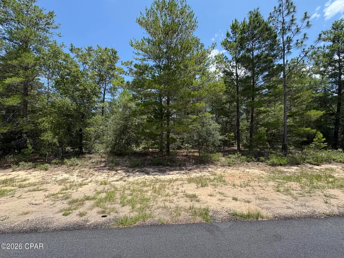 LOT 14 Gulliver Drive, Chipley, FL 32428 - #1