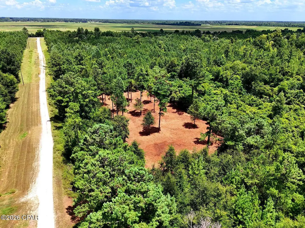 0 Reserve Drive, Marianna, FL 32446 - #1