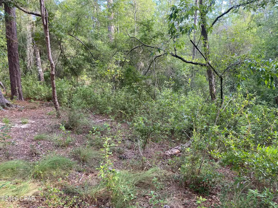 LOT 30 Putnam Avenue, Alford, FL 32420 - #2