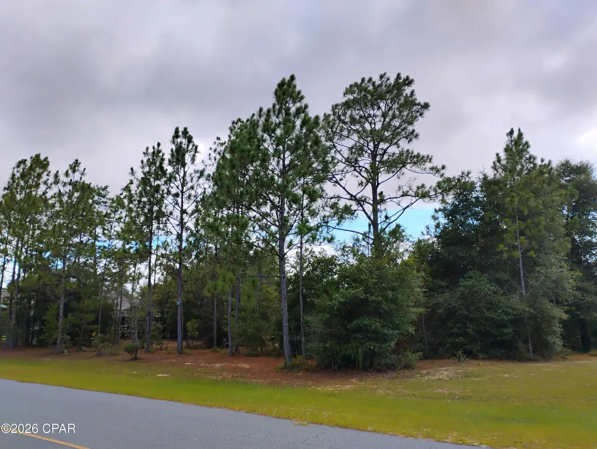 Lot 8 Shenandoah Boulevard, Chipley, FL 32428 - #1