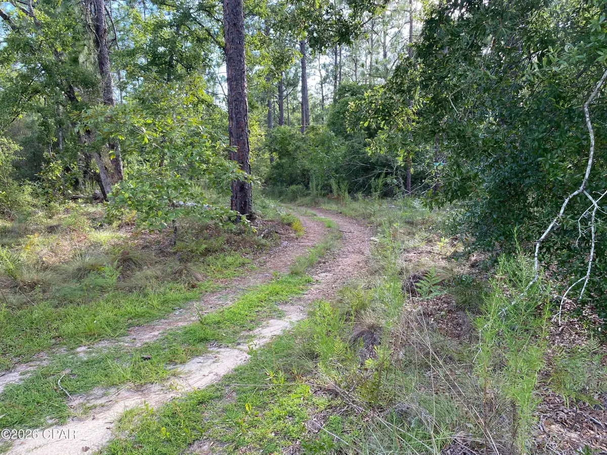 Lot 31 Putnam Avenue, Alford, FL 32420 - #1