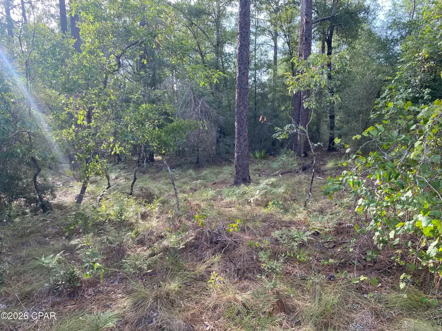 Lot 31 Putnam Avenue, Alford, FL 32420 - #2