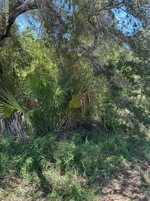 17 W Flower Avenue, Panama City, FL 32405