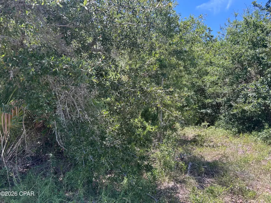 17 W Flower Avenue, Panama City, FL 32405 - #2