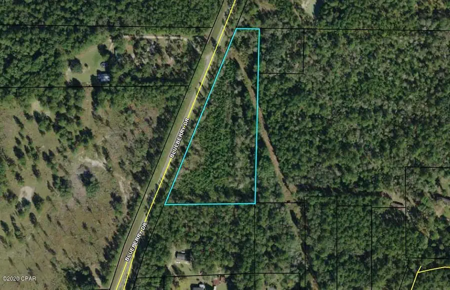 0 Blueberry Drive, Sneads, FL 32460 - #2