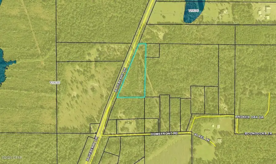 0 Blueberry Drive, Sneads, FL 32460 - #3