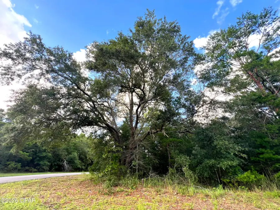 Lot 59 Preston Circle, Chipley, FL 32428 - #3