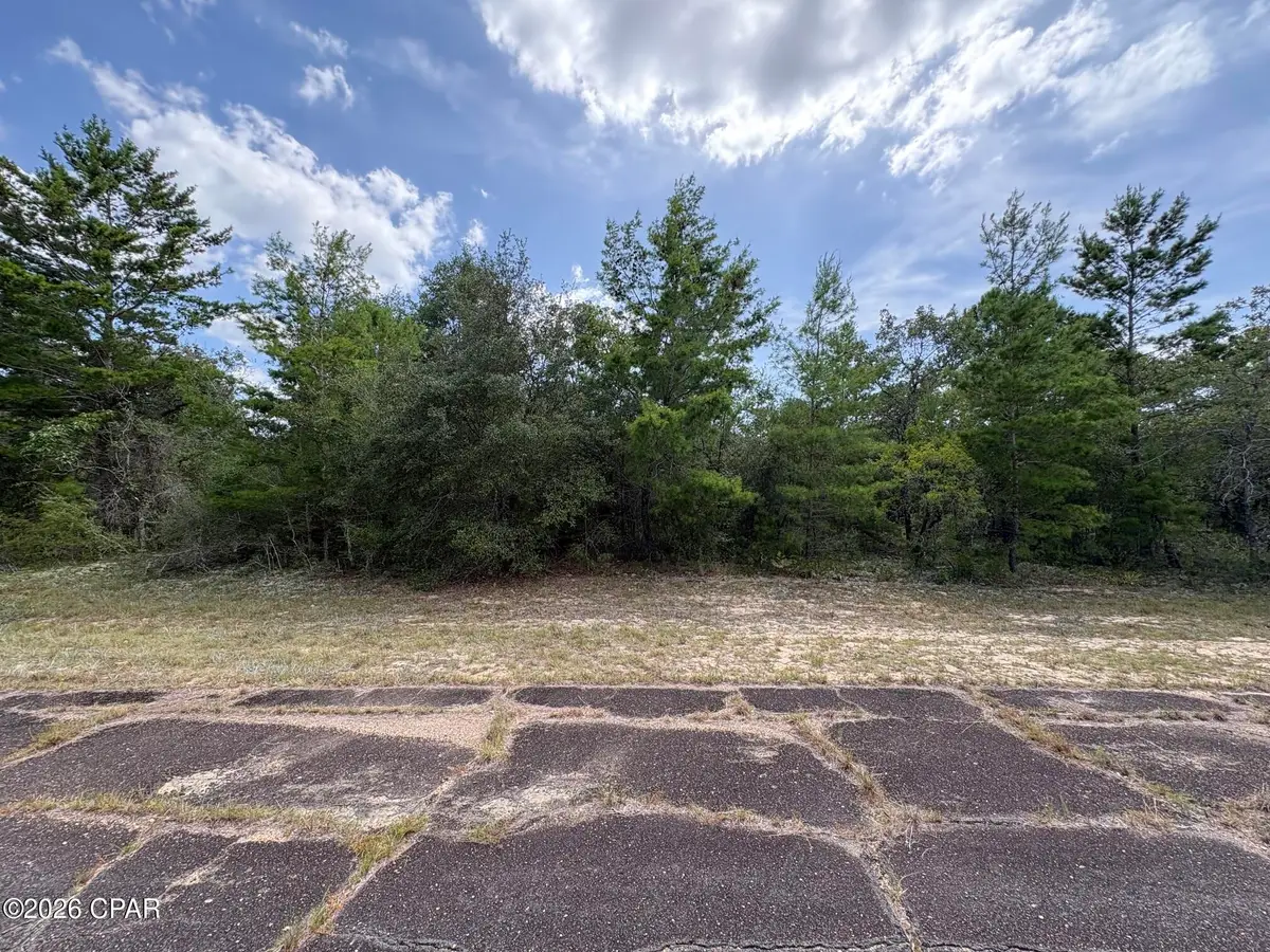 LOT 2 Confetti Place, Chipley, FL 32428 - #1