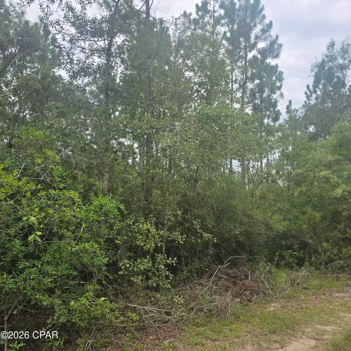 10320 River Alley Road, Youngstown, FL 32466 - #1
