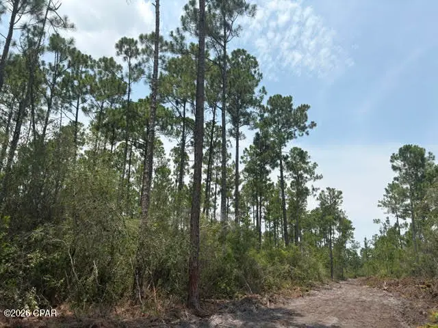 22563 NW Lake Mckenzie Boulevard, Altha, FL 32421 - #1