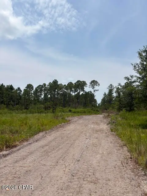 22563 NW Lake Mckenzie Boulevard, Altha, FL 32421 - #2