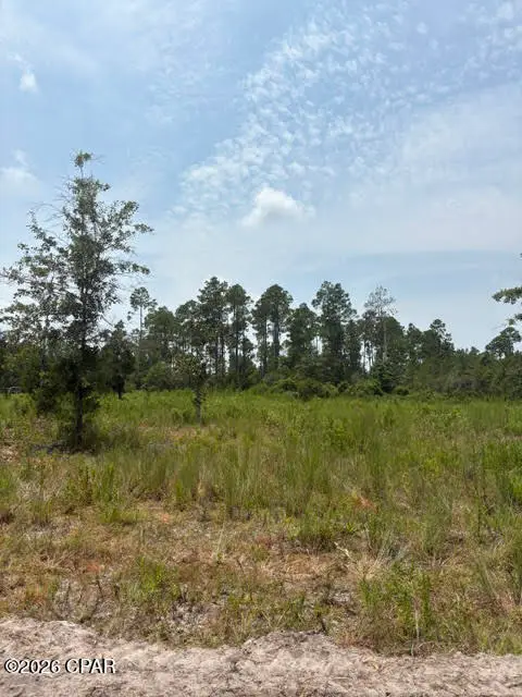 22563 NW Lake Mckenzie Boulevard, Altha, FL 32421 - #3