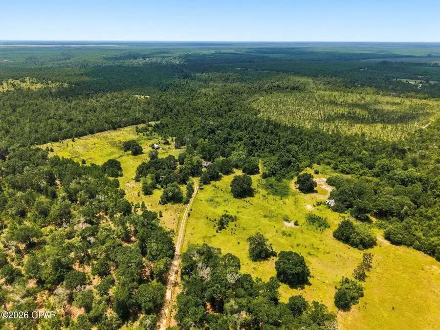 20905 NW Henson Road, Altha, FL 32421 - #3