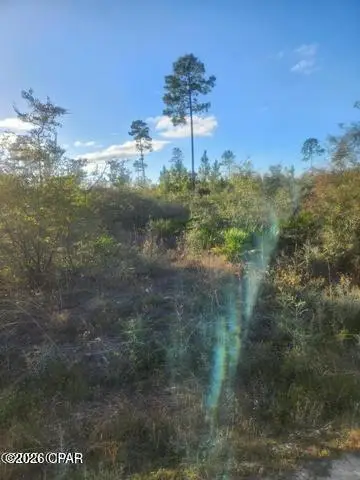 00 NW Hwy 167 County Road 167, Fountain, FL 32438 - #3