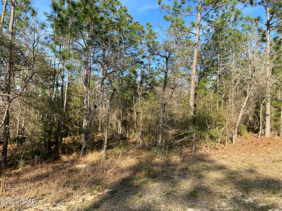 0 Largo Street, Alford, FL 32420 - #2