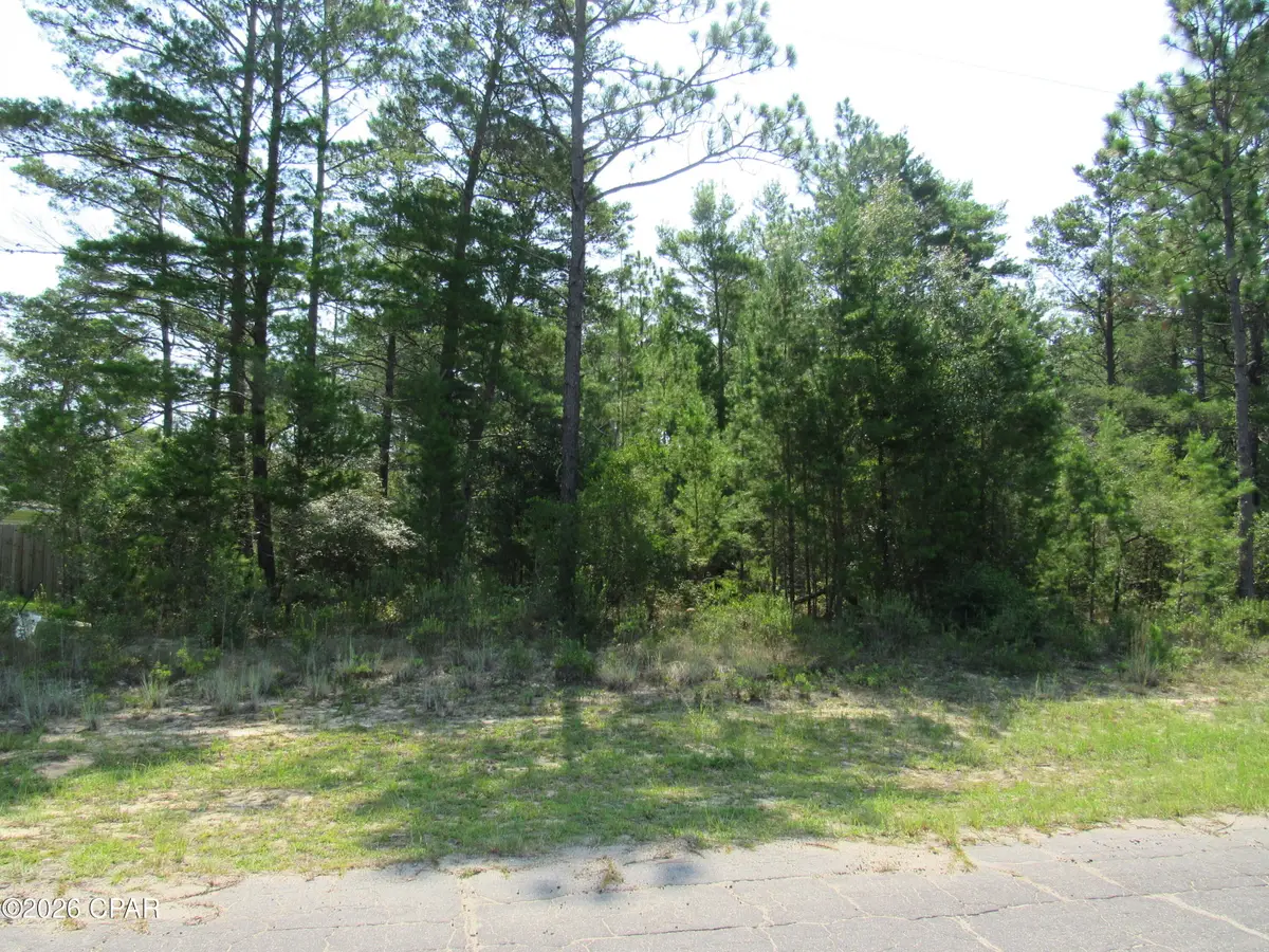 TBD Pinehurst Avenue, Chipley, FL 32428 - #1
