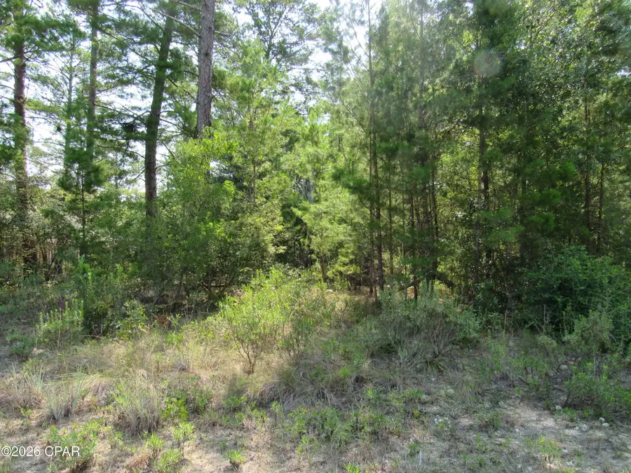 TBD Pinehurst Avenue, Chipley, FL 32428 - #3
