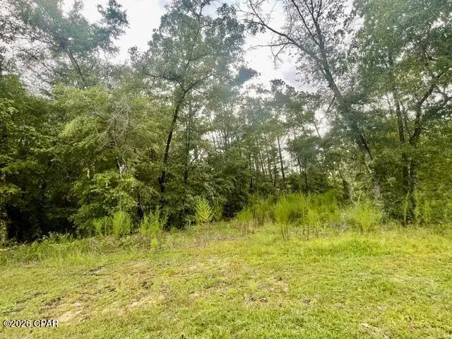 0 View Drive, Alford, FL 32420 - #1