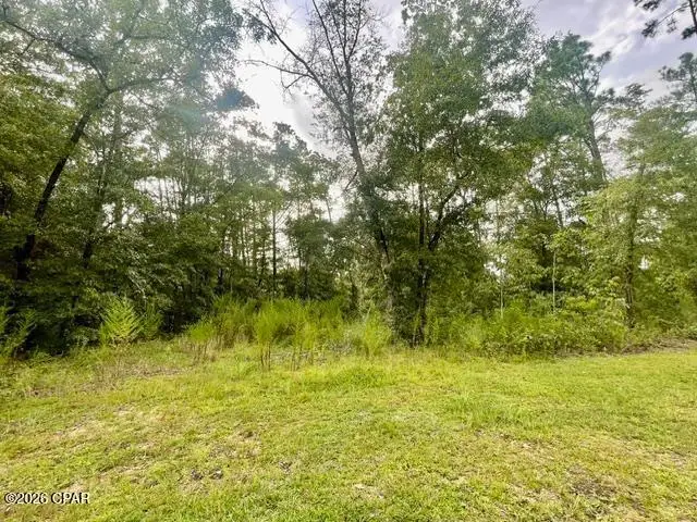 0 View Drive, Alford, FL 32420 - #2